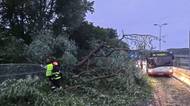 Popadané stromy, stržené střechy, domácnosti bez elektřiny. Vysočinou a Moravou se prohnaly bouřky