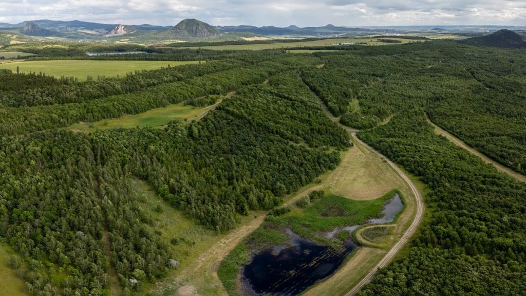 Ornitologové otevřeli u jezera Most největší ptačí park v Česku