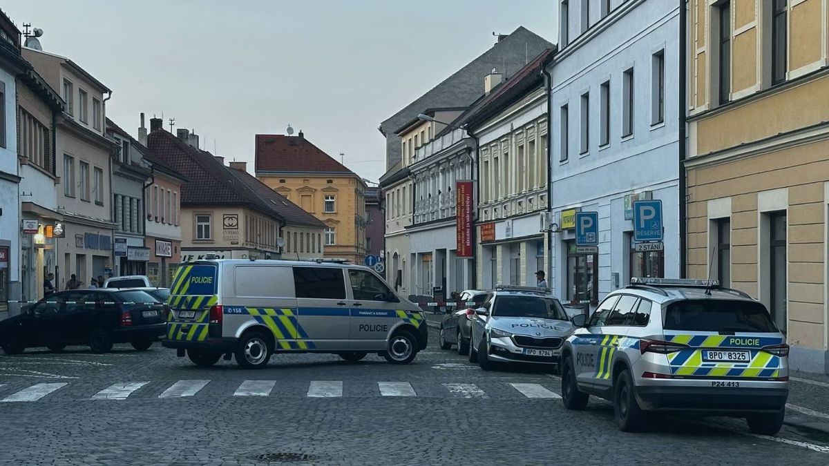 Pokus o vraždu v Sušici: Mladík vzal doma kuchyňský nůž, vyšel ven a bezdůvodně zaútočil