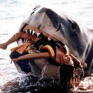 Největší model žraloka měřil 8 metrů. Tři exempláře stály 1,5 milionu dolarů a ukously šestinu rozpočtu. 