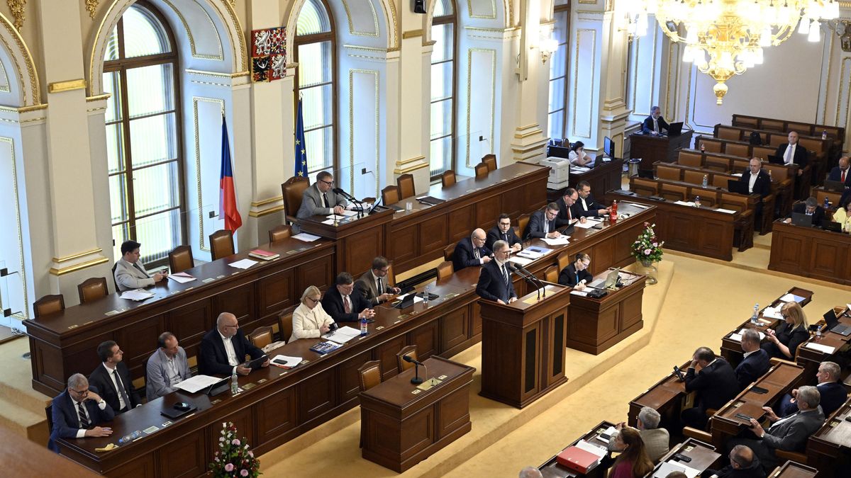 Vláda ustála hlasování o nedůvěře
