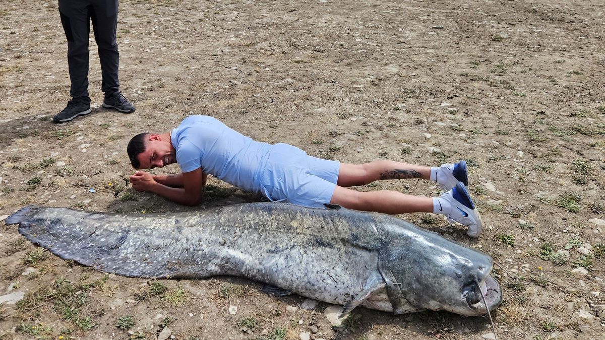 Přemnožení sumců ve Španělsku je katastrofální. Čeští vědci vylovili za týden 29 predátorů