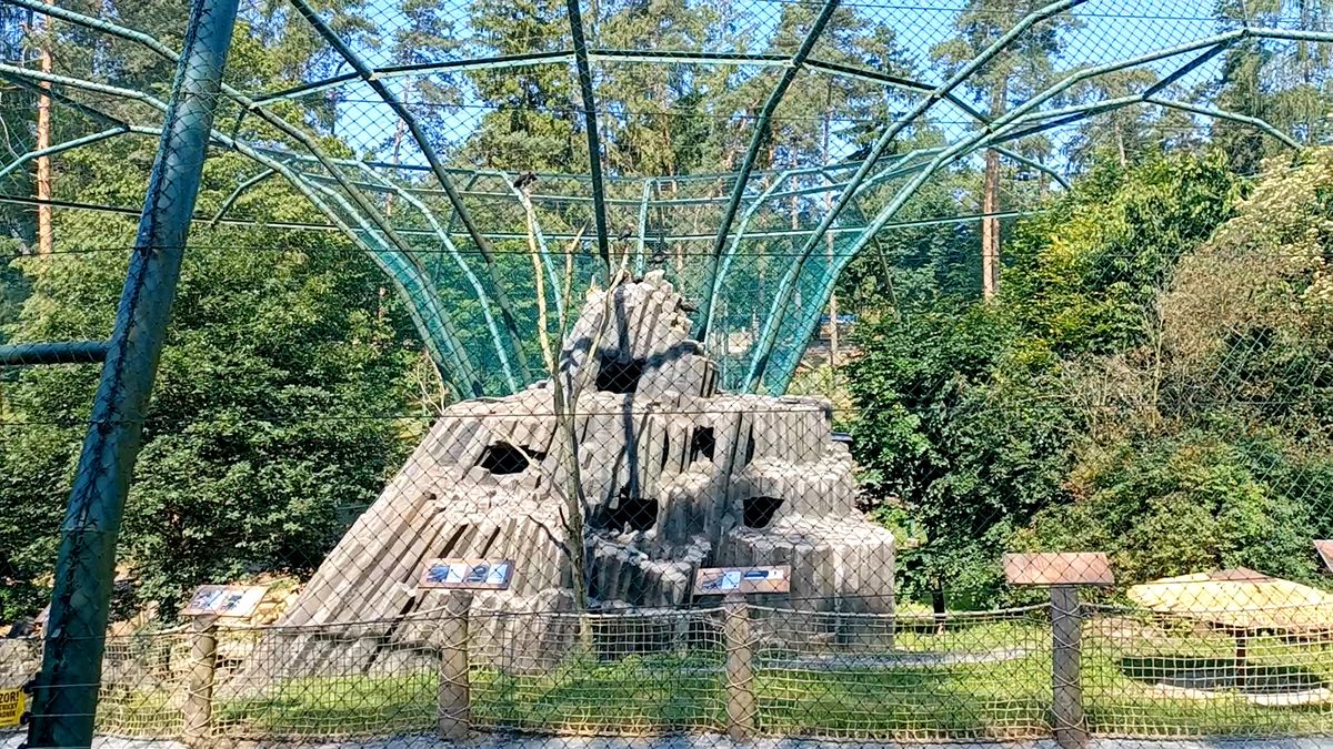 Olomoucká zoo otevřela obří voliéru s africkými ptáky