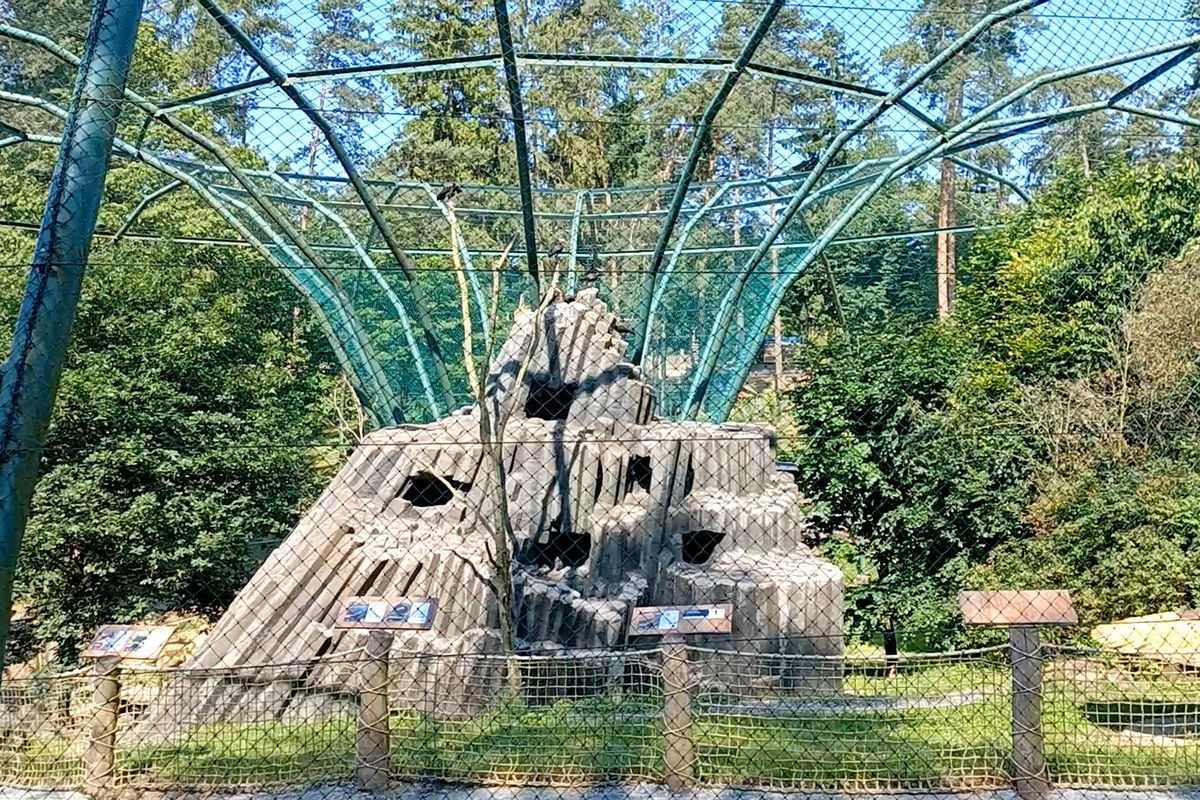 Olomoucká zoo otevřela obří voliéru s africkými ptáky