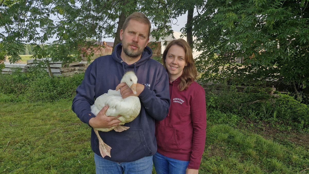 Začínali se třemi ovcemi a hektarem pole, teď mají ekofarmu roku