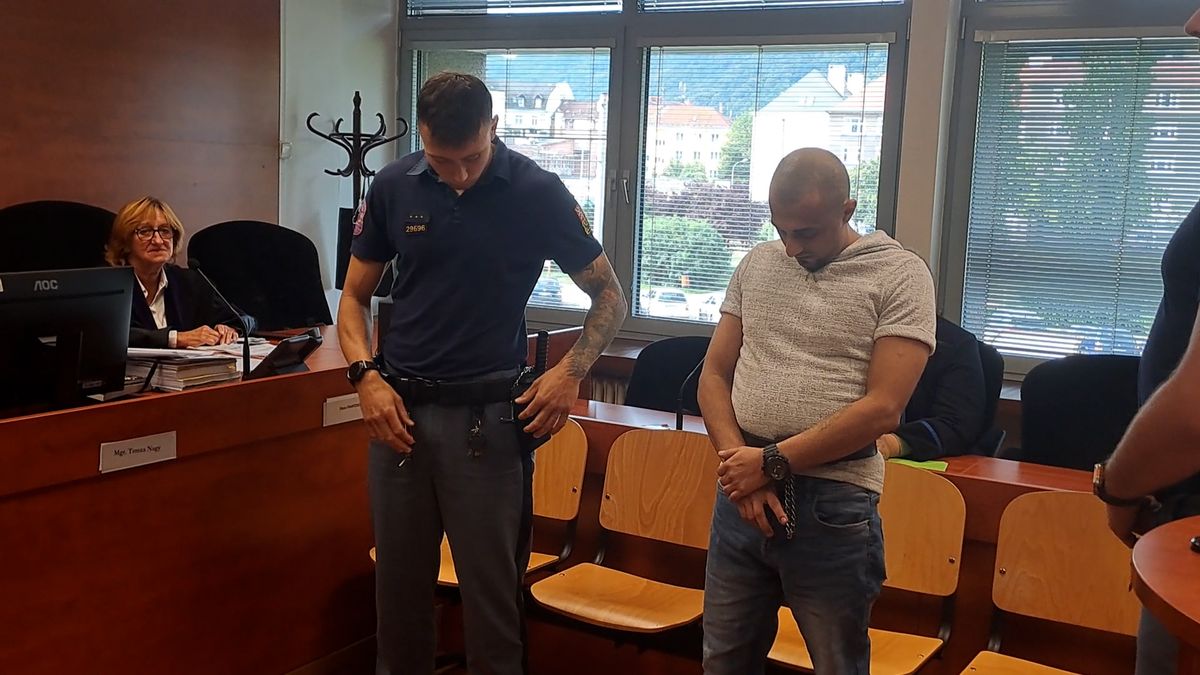 V bytě v centru Žatce pobodal družku, soud mu vyměřil jedenáct let vězení