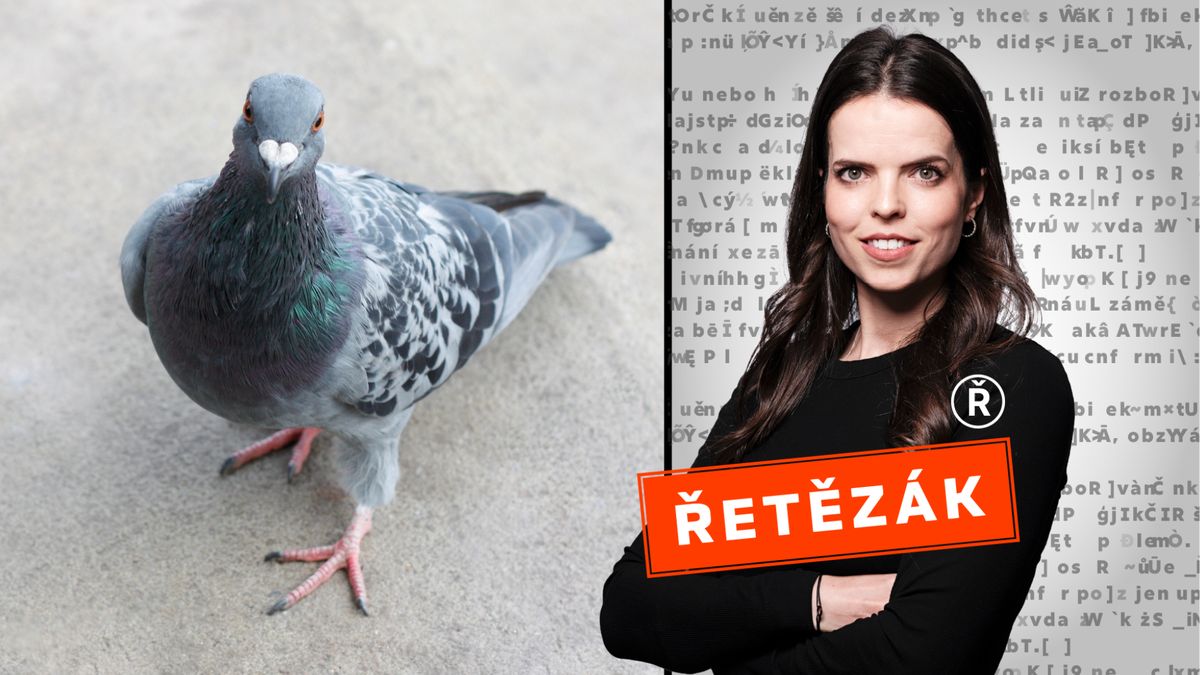 Jeden transparent a poprask. Příběh satirické ptačí konspirace má úplně všechno