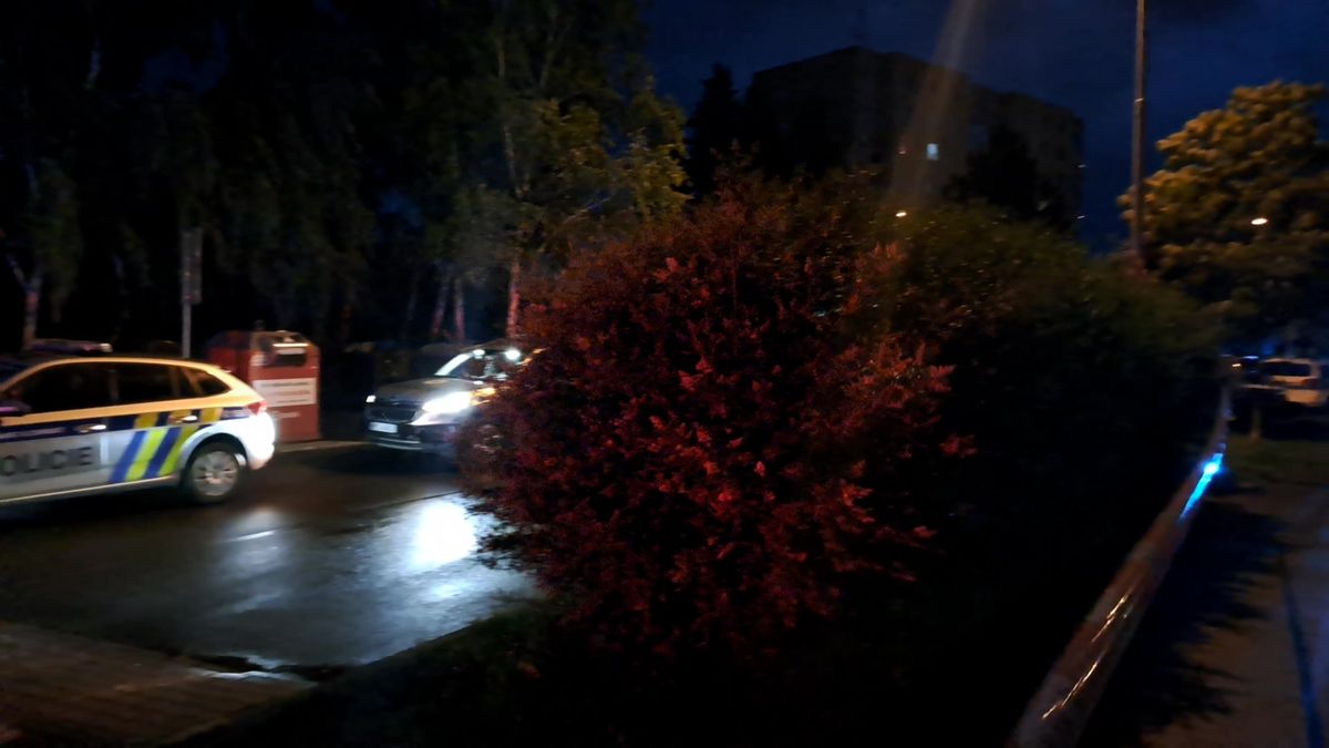 Obvinili muže, který v kradeném autě najížděl v Plzni na policisty