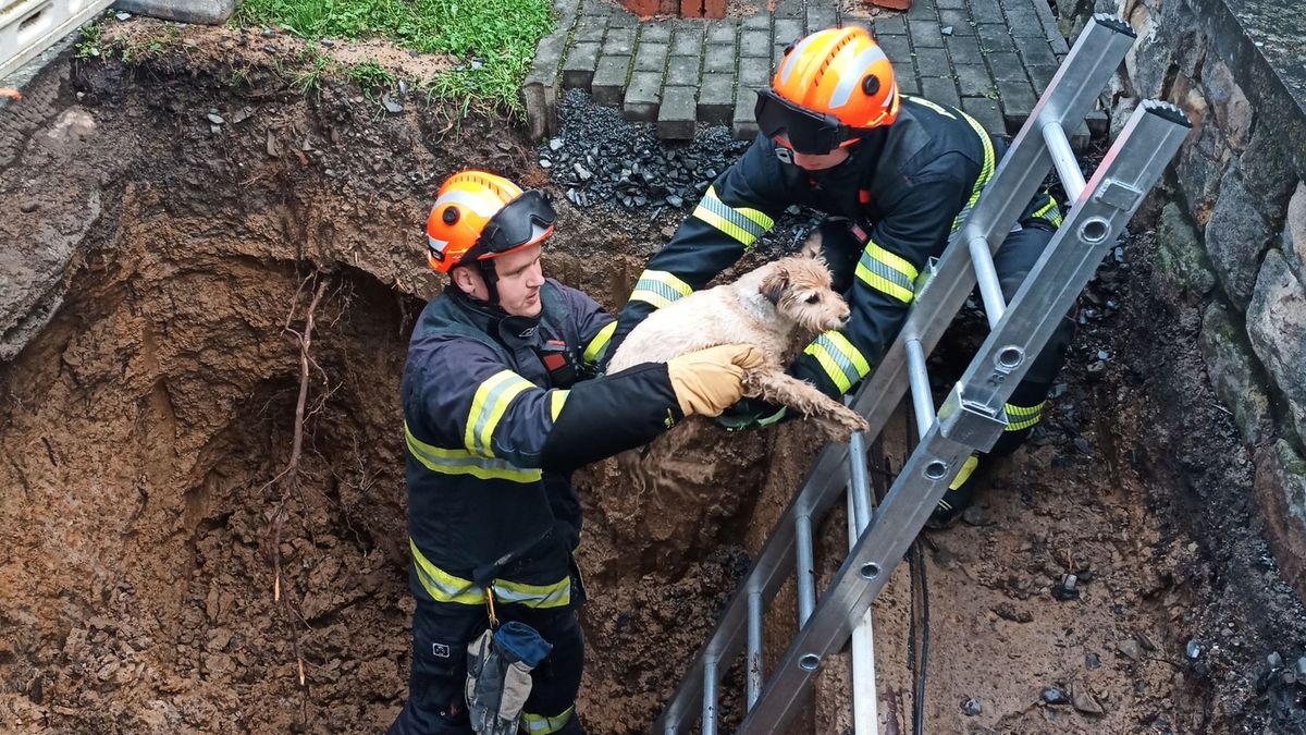 Pes na Moravě utekl před supercelou. Ráno ho našli v hluboké jámě