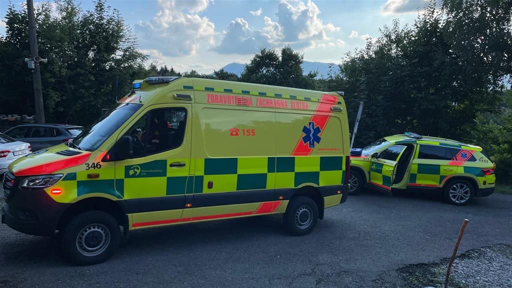Sršeň na Frýdecko-Místecku bodl muže do hlavy. Rozjela se u něj alergická reakce