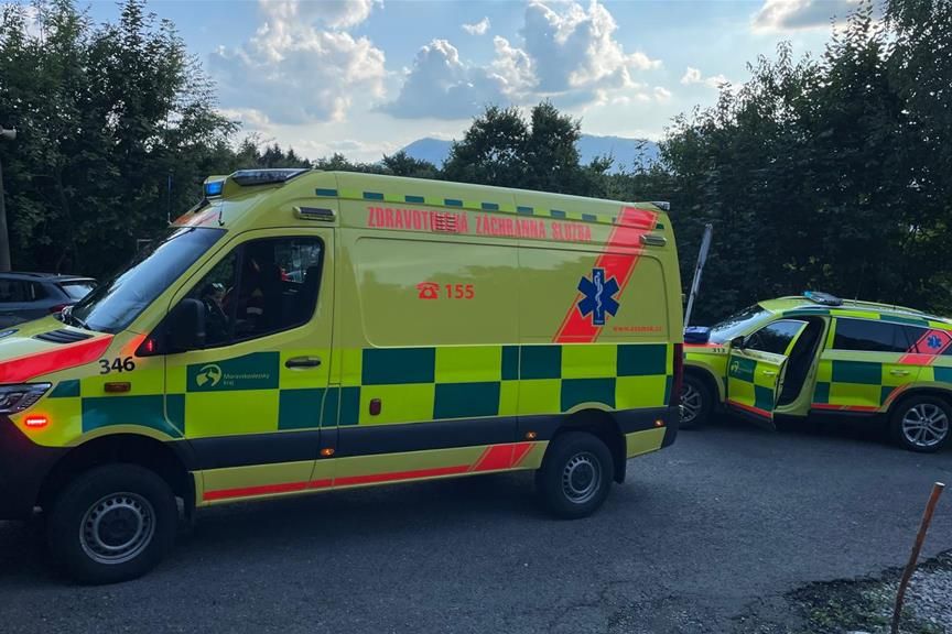 Sršeň na Frýdecko-Místecku bodl muže do hlavy. Rozjela se u něj alergická reakce