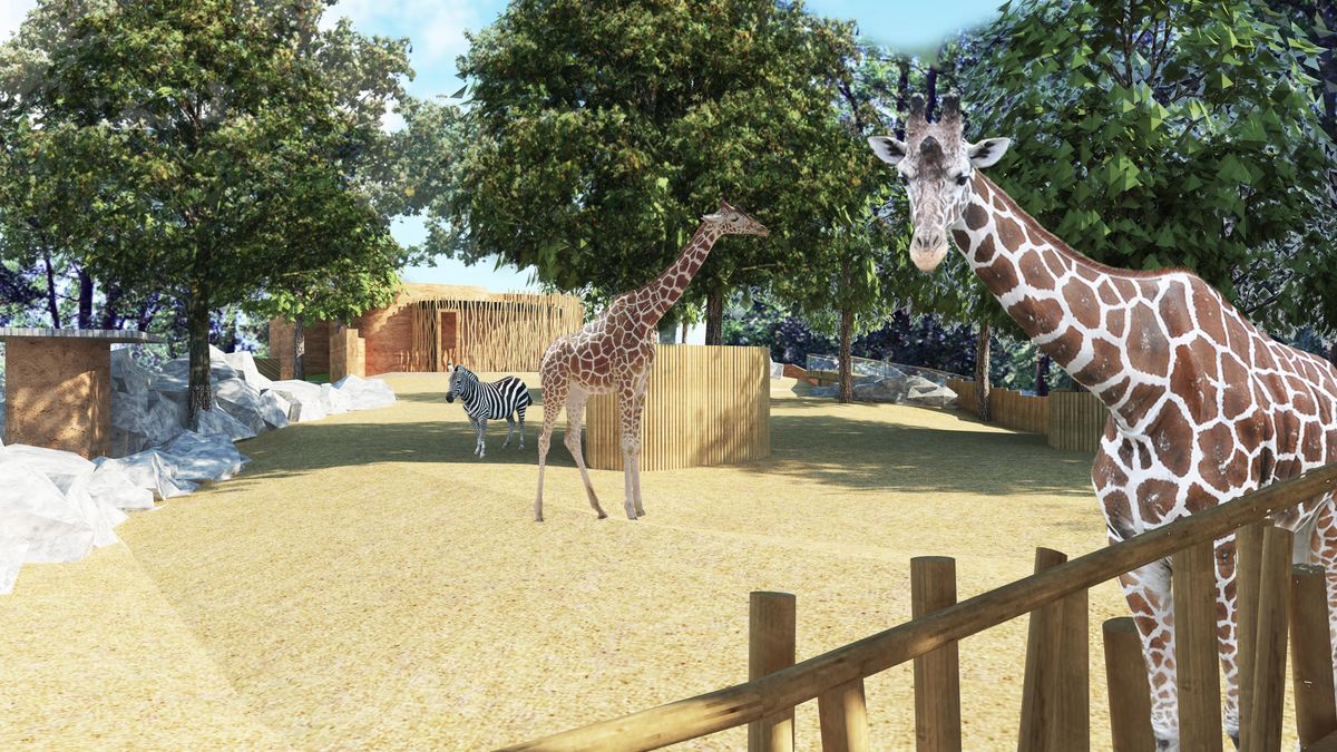 Pavilon žiraf v liberecké zoo čeká po čtyřiceti letech rozsáhlá proměna