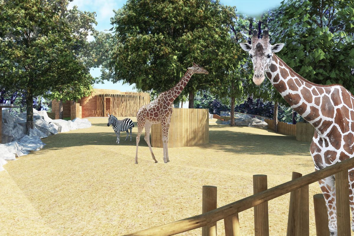 Pavilon žiraf v liberecké zoo čeká po čtyřiceti letech rozsáhlá proměna