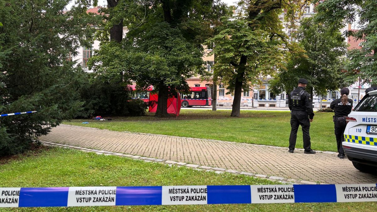 Mrvola ležela v křoví v českobudějovickém parku. Dva muže strážníci zachránili
