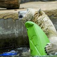 Výjev jak ze seriálu Pobřežní hlídka.