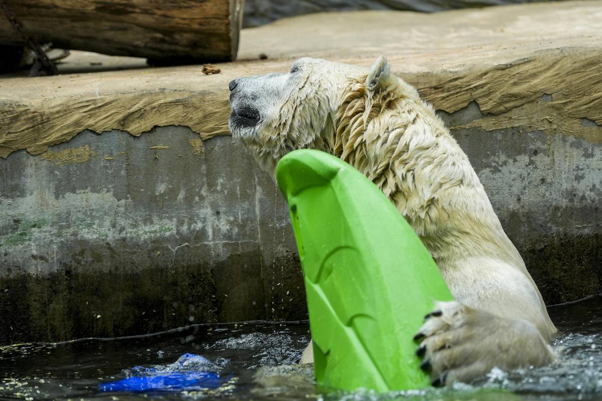Výjev jak ze seriálu Pobřežní hlídka.