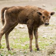 Pro jméno hlasovalo celkem 3078 čtenářů.