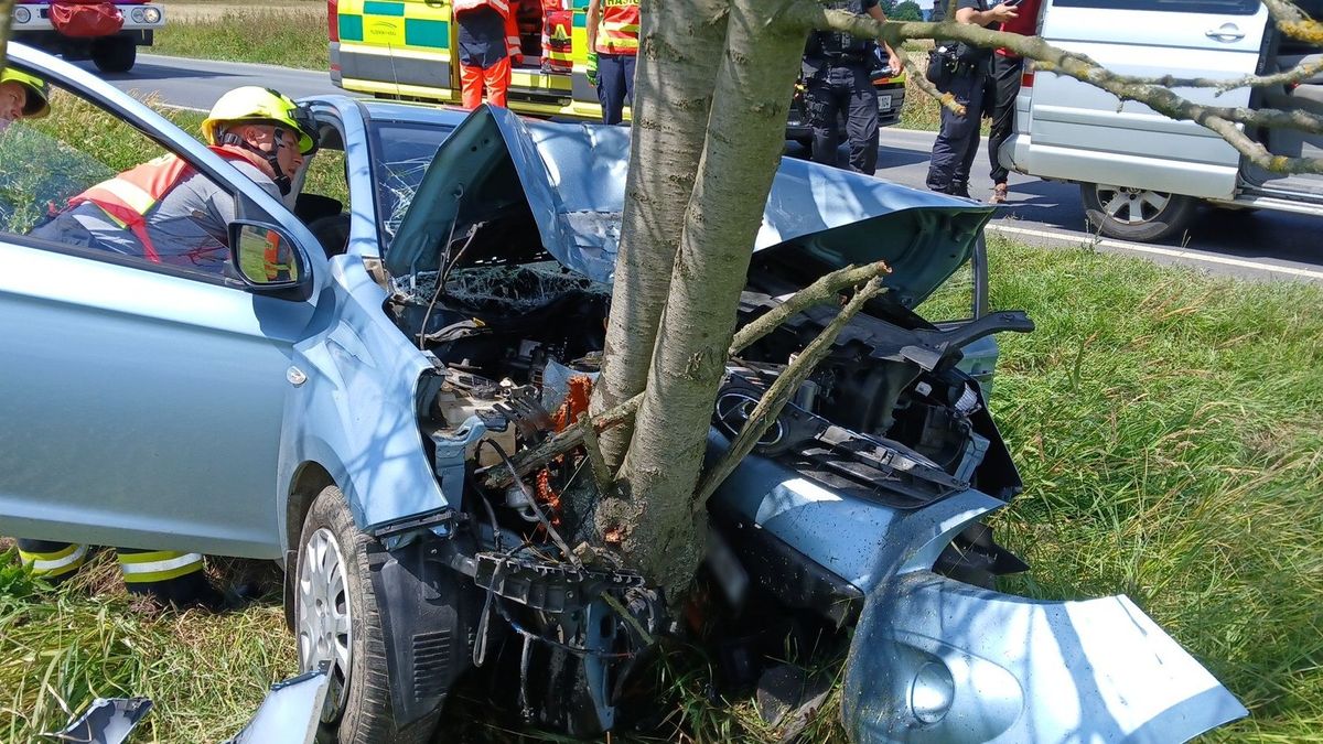 Senior v Klatovech vyjel ze silnice a čelně narazil do stromu