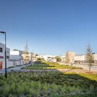 Horní náměstí je lemované alejí s parkem. 