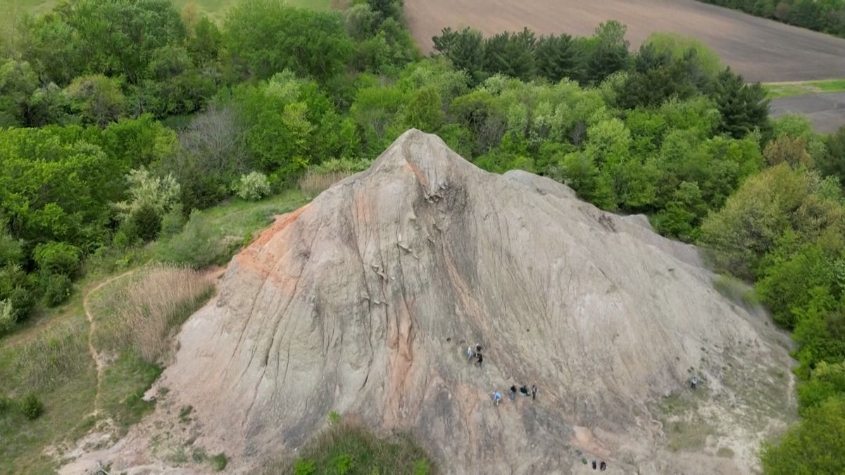 Fosilie z Mazon Creek: Skrytý poklad prehistorického života kousek od Chicaga