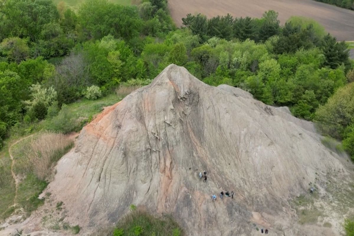 Fosilie z Mazon Creek: Skrytý poklad prehistorického života kousek od Chicaga