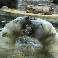 Sourozenecké škádlení.