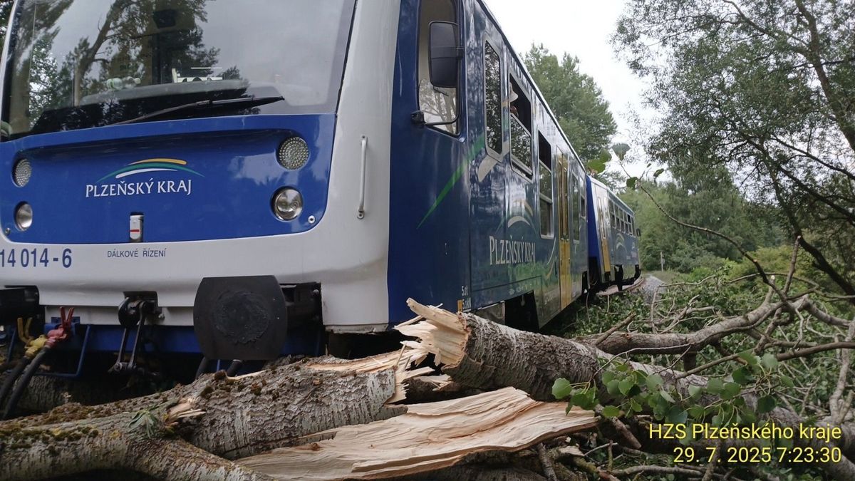 Na Domažlicku najel vlak do stromu a vykolejil