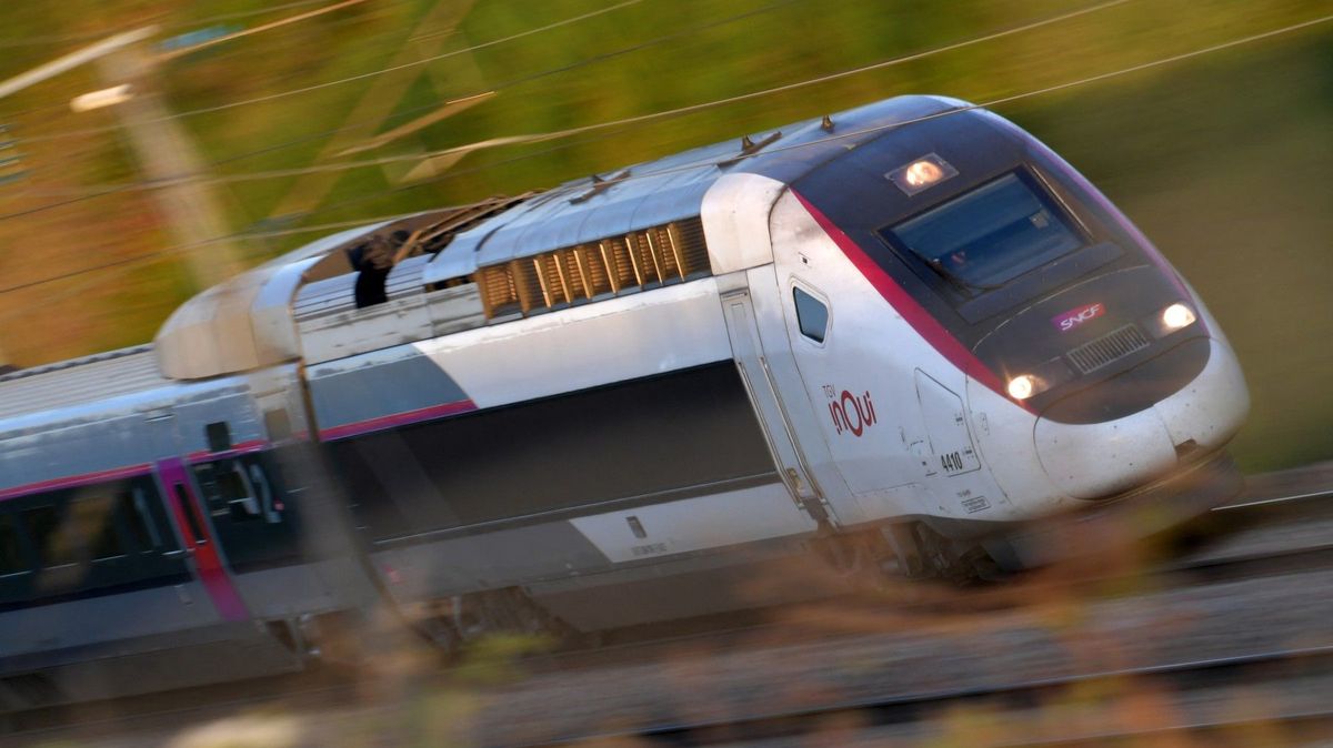 Strojvůdce expresní soupravy TGV zapomněl zastavit ve stanici