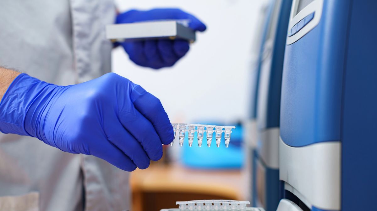 Angličan zfalšoval test DNA, aby se vyhnul placení alimentů