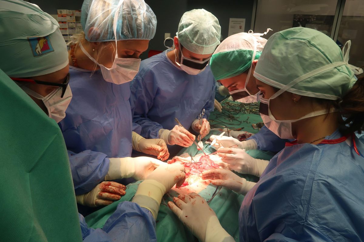 Odborná akce pro budoucí lékaře se zaměří na praxi, proběhne v nemocnicích v Ostrově a Sokolově