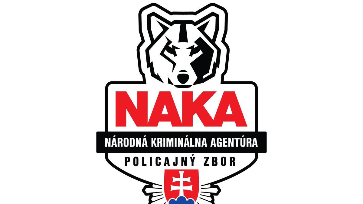 Fico se dostal ke spisu obviněného policisty, stačil mu k tomu jediný telefonát