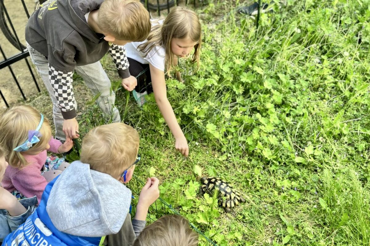U pražské školy vznikl želví výběh. Prohánějí se v tamním parku