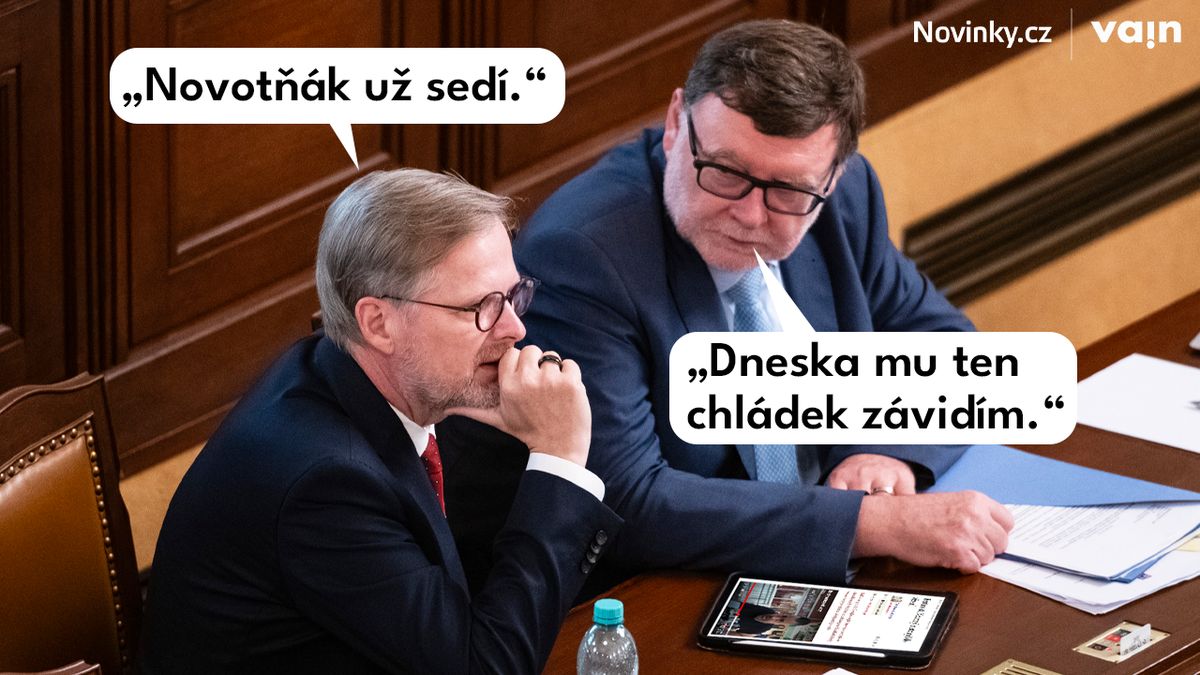 VTIP: Pavel Novotný nastoupil do vězení a v ODS zavládla závist