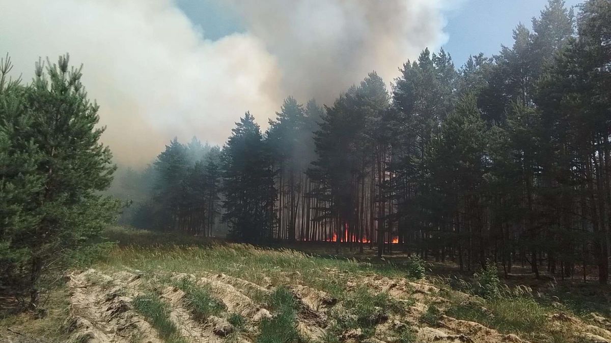 Hasiči dál likvidují ohniska požáru u muničního skladu na Litoměřicku. Namísto vrtulníků nasadí tank