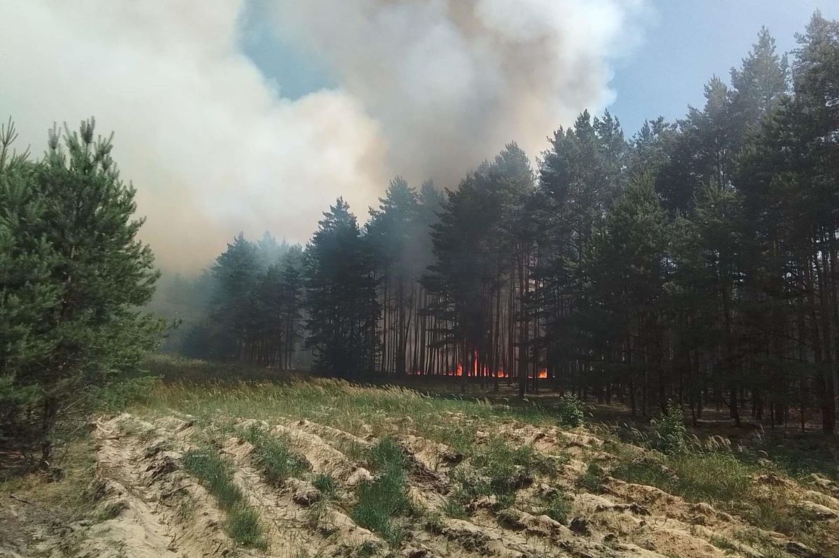 Hasiči dál likvidují ohniska požáru u muničního skladu na Litoměřicku. Namísto vrtulníků nasadí tank
