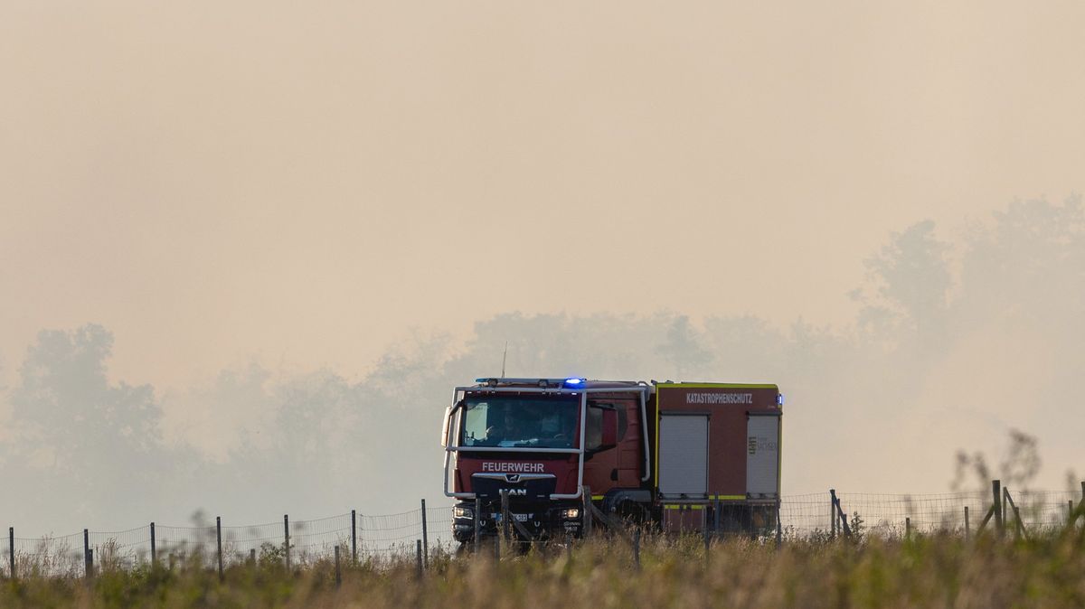 V Sasku zuří rozsáhlý lesní požár, hoří v bývalém vojenském výcvikovém prostoru