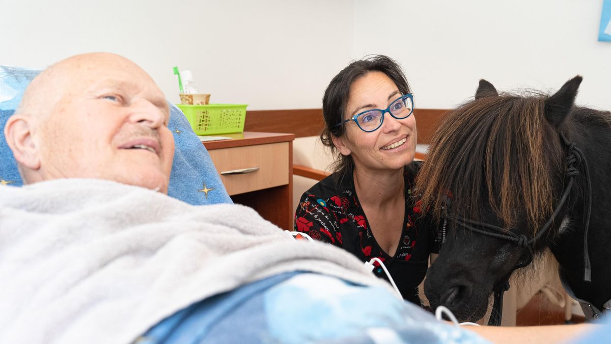 FOTO: Je to jako dotek života, popisují lidé setkání s Asistenčním jednorožcem