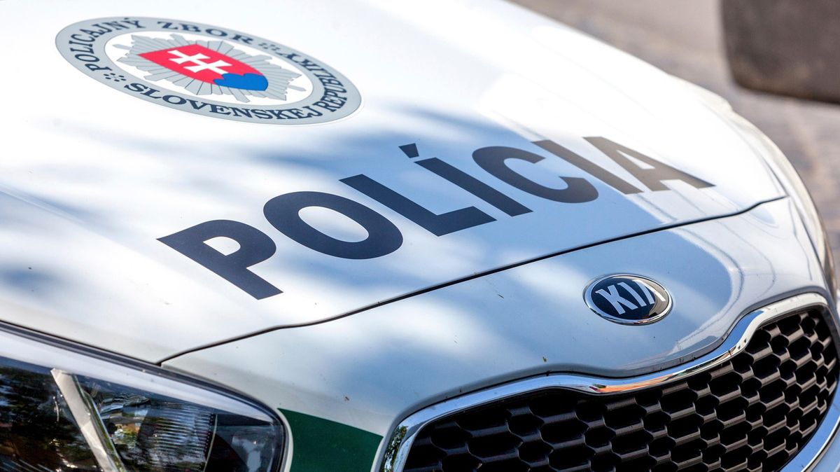 Při razii na Slovensku zasahovalo 426 policistů