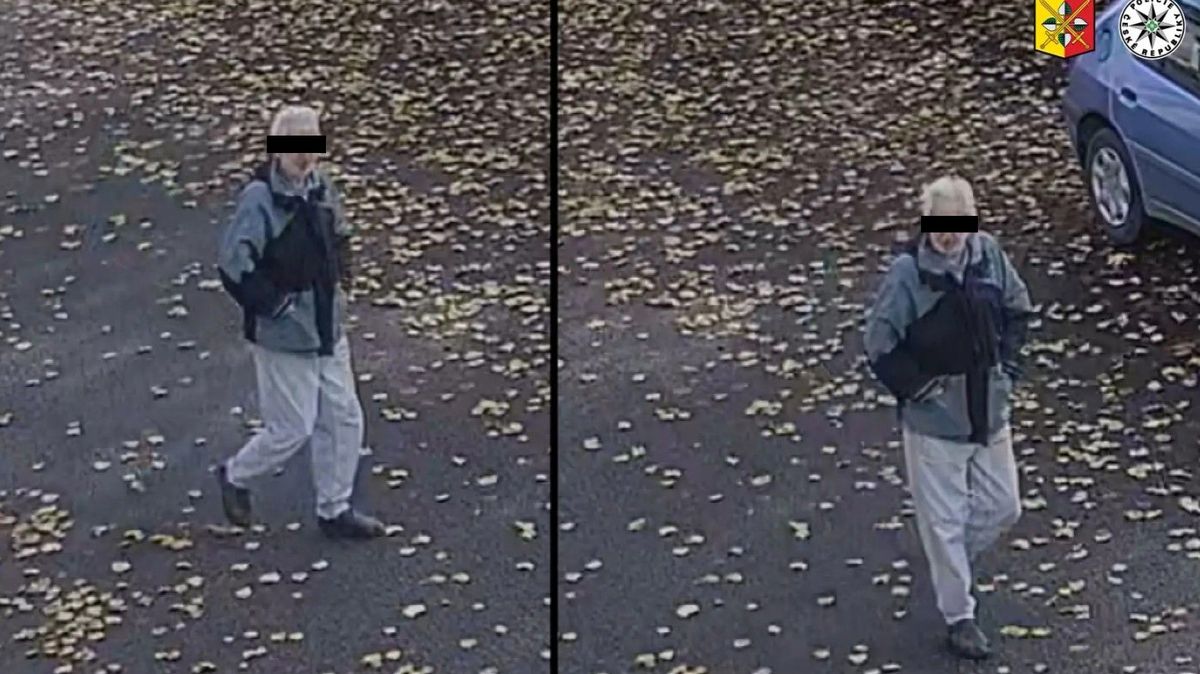 Vyhrožoval prezidentovi či Černochové pobodáním nebo kulkou do hlavy, teď jde před soud
