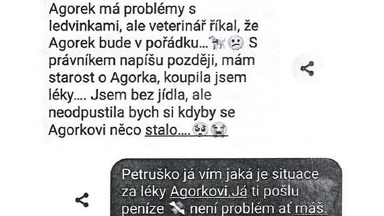 „Agorka trápí ledvinky, nemám na jídlo.“ Falešná hra na city stála muže z Karvinska půl milionu