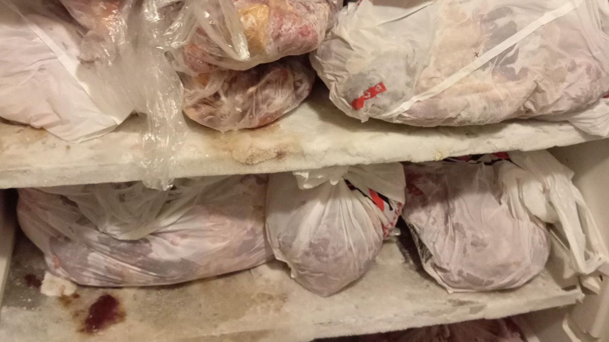 V pražské restauraci našli maso z nelegální porážky. Včetně hovězí hlavy i s očima
