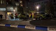 Manévry záchranářů v Roztokách u Prahy. Desítky lidí prohlédli kvůli meningitidě