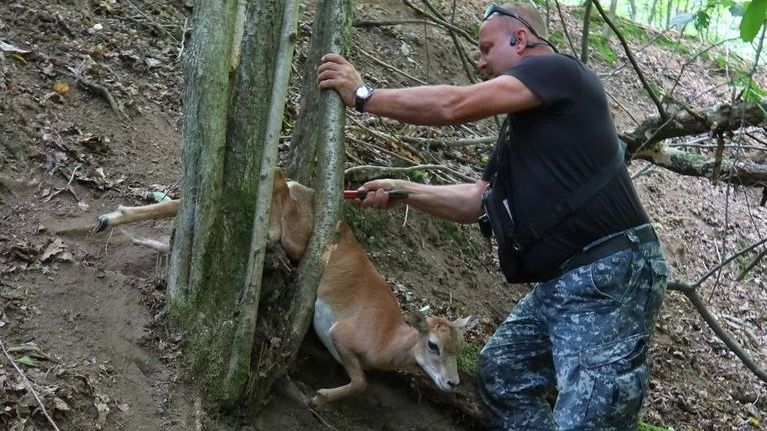 Bába pod kořenem má čtyřnohého následovníka. Šlo mu o život