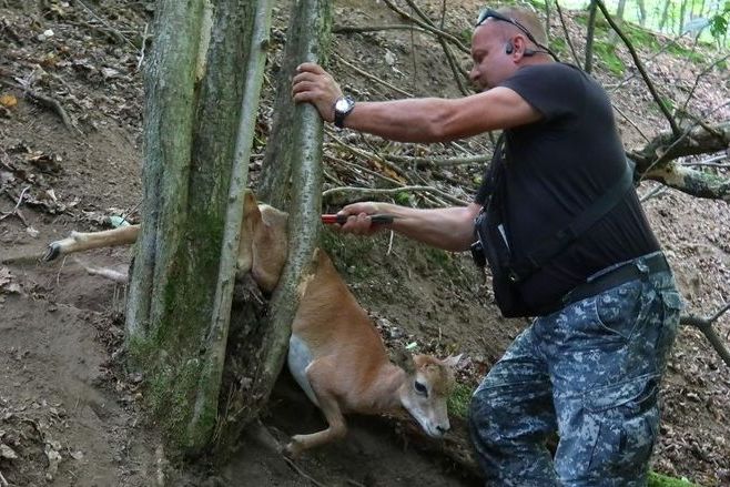 Bába pod kořenem má čtyřnohého následovníka. Šlo mu o život