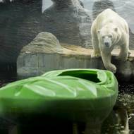 A zábava může začít.