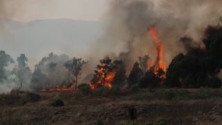 Spalující léto ve Španělsku: Teploty přes 40, pekelná noc na Kanárech, plameny u Madridu
