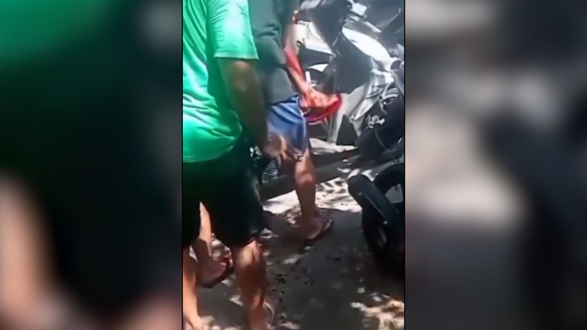 Rozzuřený kohoutí zápasník na Bali zabil svého trenéra
