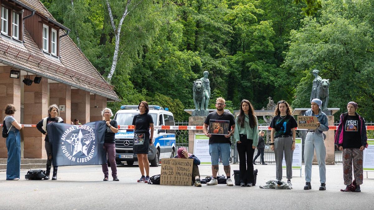 Ochránci zvířat vtrhli do zoo v Norimberku, aby zabránili utracení přemnožených paviánů