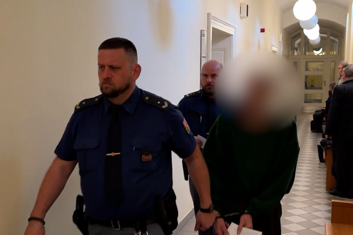 Syna živili do svých devadesáti let. Místo vděku je bil pánví i holí. Skončí ve vězení