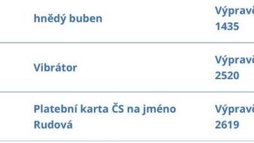 V brněnské MHD někdo ztratil vibrátor, k vyzvednutí je v tramvajácké výpravně
